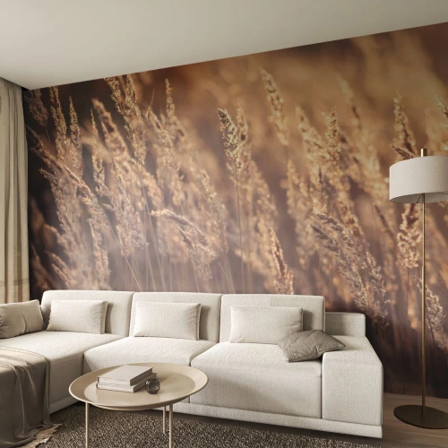 Tapet Premium Canvas - Gata să întâmpine toamna - Peisaj, Urechi de cereale, luncă - 250x175 cm