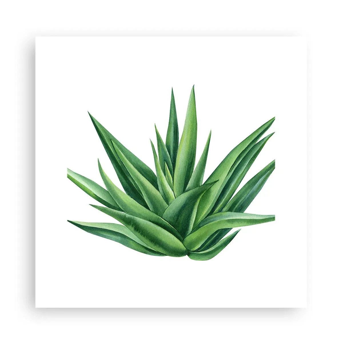 Poster - Verde - putere - viață - 30x30 cm