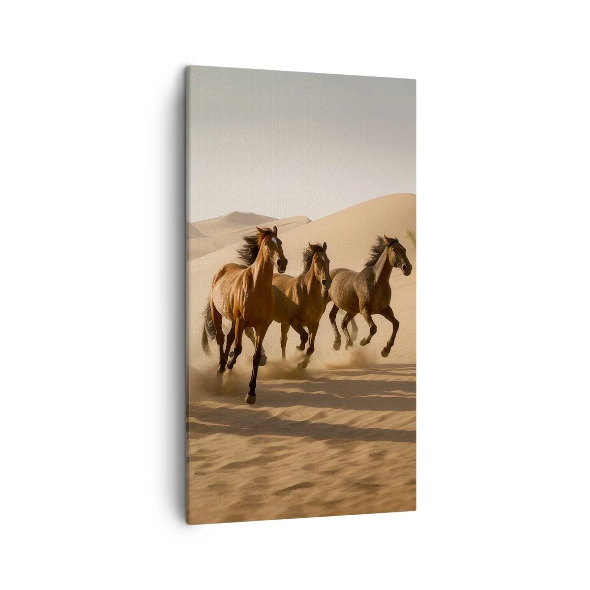 Tablou pe pânză - Liberi ca vântul - 45x80 cm