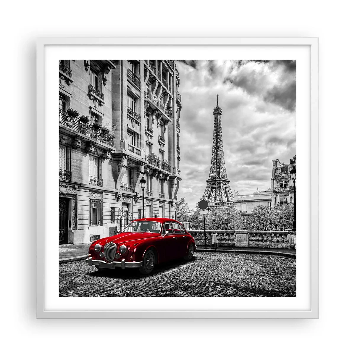 Poster în ramă albă - Prădător în oraș - 60x60 cm