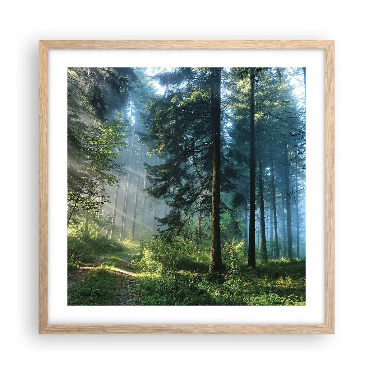 Poster în ramă de stejar deschis - Strălucirea de dimineață - 50x50 cm