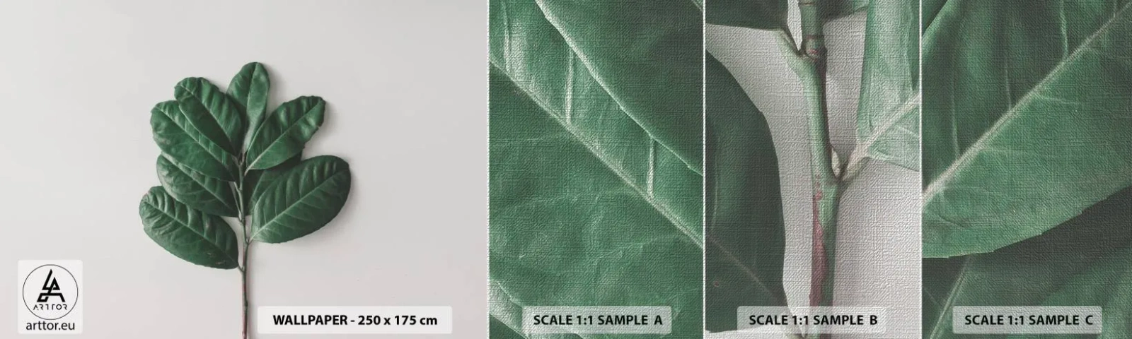 Mostră tapet Premium Canvas - Desenul naturii însăși - Frunze, Plantă, Natură - 100x30 cm