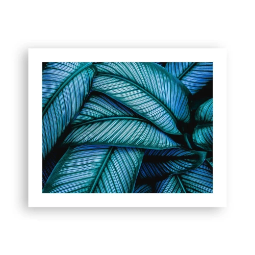 Poster - Linii de viață - 50x40 cm