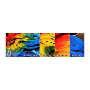Mostră de Tapet Standard Eco - Pasăre de paradis - Pene colorate, Pene de papagal, Animale - 100x30 cm