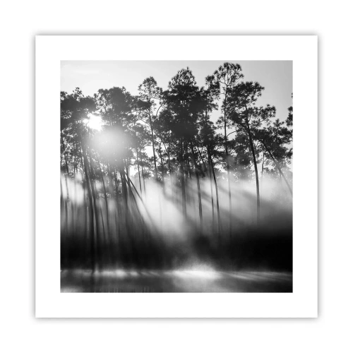 Poster - Soare de neoprit - 40x40 cm