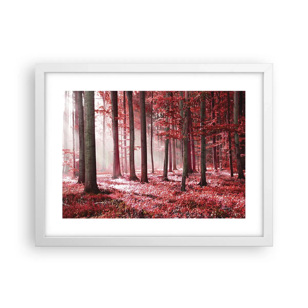 Poster în ramă albă - Roșie este la fel de frumoasă - 40x30 cm