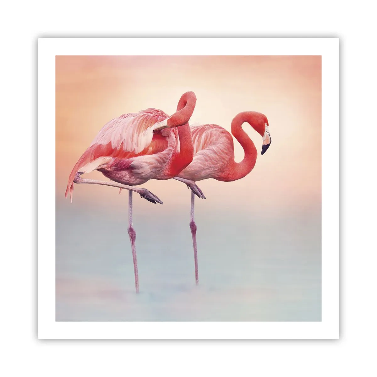 Poster - În culoarea soarelui care apune - 60x60 cm