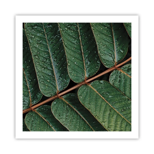 Poster - Într-un ritm verde - 60x60 cm