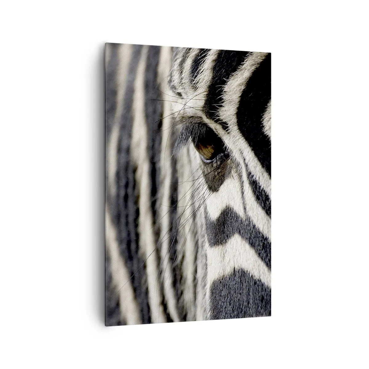 Tablou pe pânză - Portret cu dungi - 80x120 cm