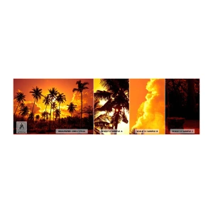 Mostră tapet autocolant Deluxe Sticker - Munții ard, pădurile ard - palmieri, Tropicele, Soare - 100x30 cm