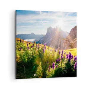 Tablou pe pânză - Viața secretă a ierburilor - 50x50 cm