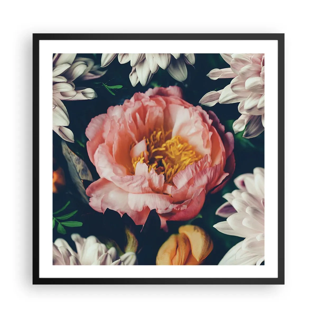 Poster în ramă neagră - Cu splendoare barocă - 60x60 cm