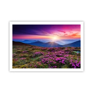 Poster - Ierburile proaspete miroseau puternic - 91x61 cm