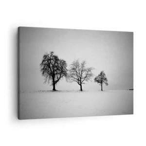 Tablou pe pânză Canvas - Trei copaci într-un câmp înzăpezit, într-un stil monocromatic - 70x50cm - La ce visează? - Decorațiune modernă pentru perete pentru living și dormitor ARTTOR