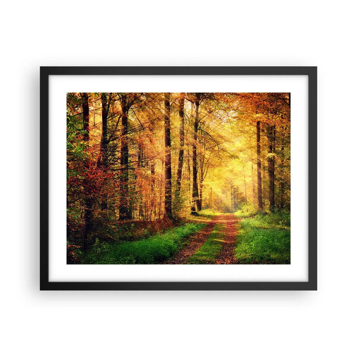 Poster în ramă neagră - Tăcere de aur de pădure - 50x40 cm