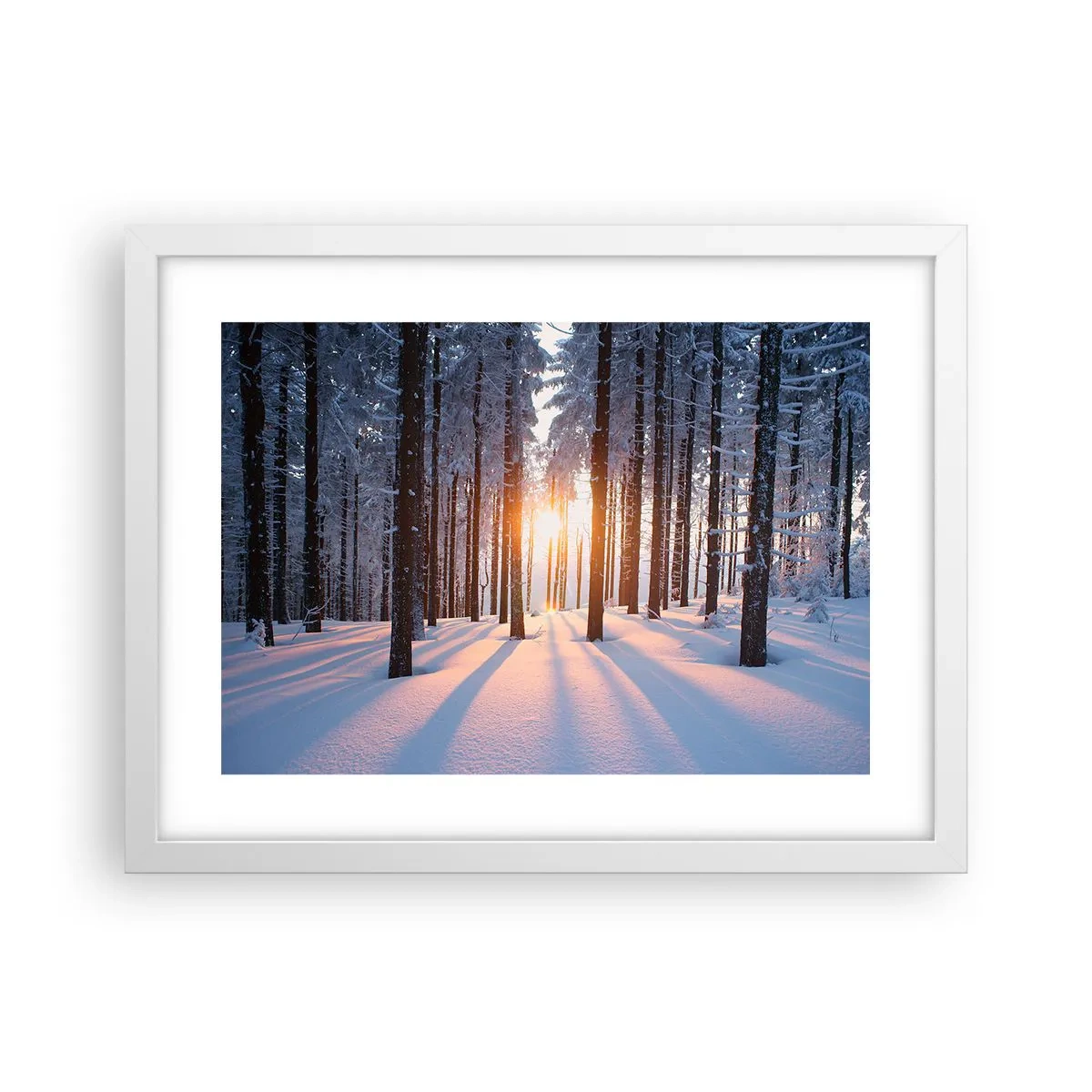 Poster în ramă albă - În mod clar în alb și negru - 40x30 cm