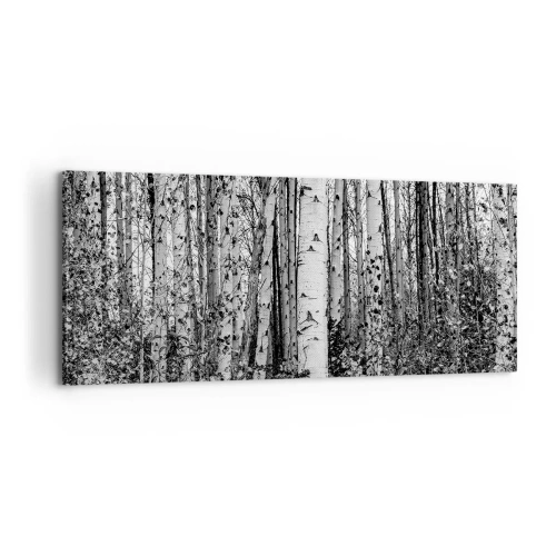 Tablou pe pânză - Coloane de mesteacăn - 100x40 cm