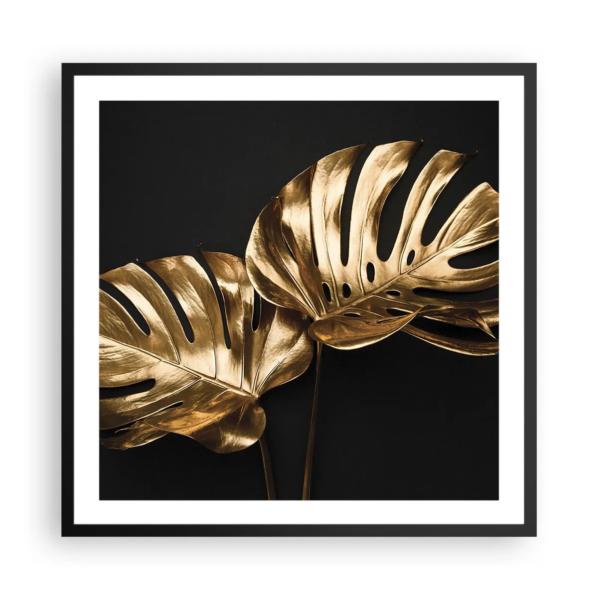 Poster în ramă neagră - Comorile naturii - 60x60 cm