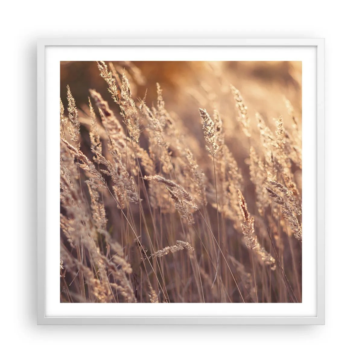 Poster în ramă albă - Gata să întâmpine toamna - 60x60 cm