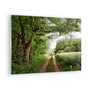 Tablou pe sticlă - Un drum forestier înconjurat de verdeață în razele soarelui - 70x50cm - Et in Arcadia ego - Decorațiune modernă pentru perete pentru living și dormitor ARTTOR