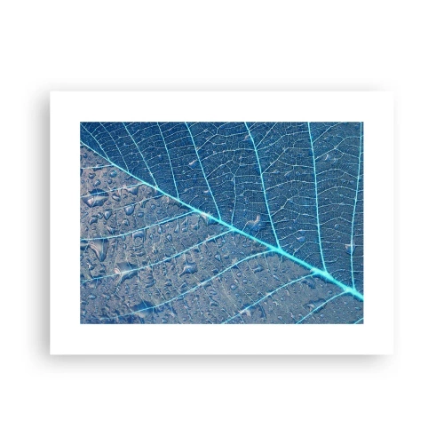 Poster - Viața în albastru - 40x30 cm