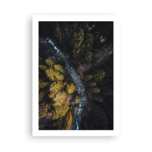 Poster - Rapid și mai rapid - 50x70 cm