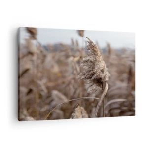 Tablou pe pânză Canvas - Ierburi delicate în nuanțe de bej pe fundalul naturii - 70x50cm - E timpul să zbori cu vântul - Decorațiune modernă pentru perete pentru living și dormitor ARTTOR
