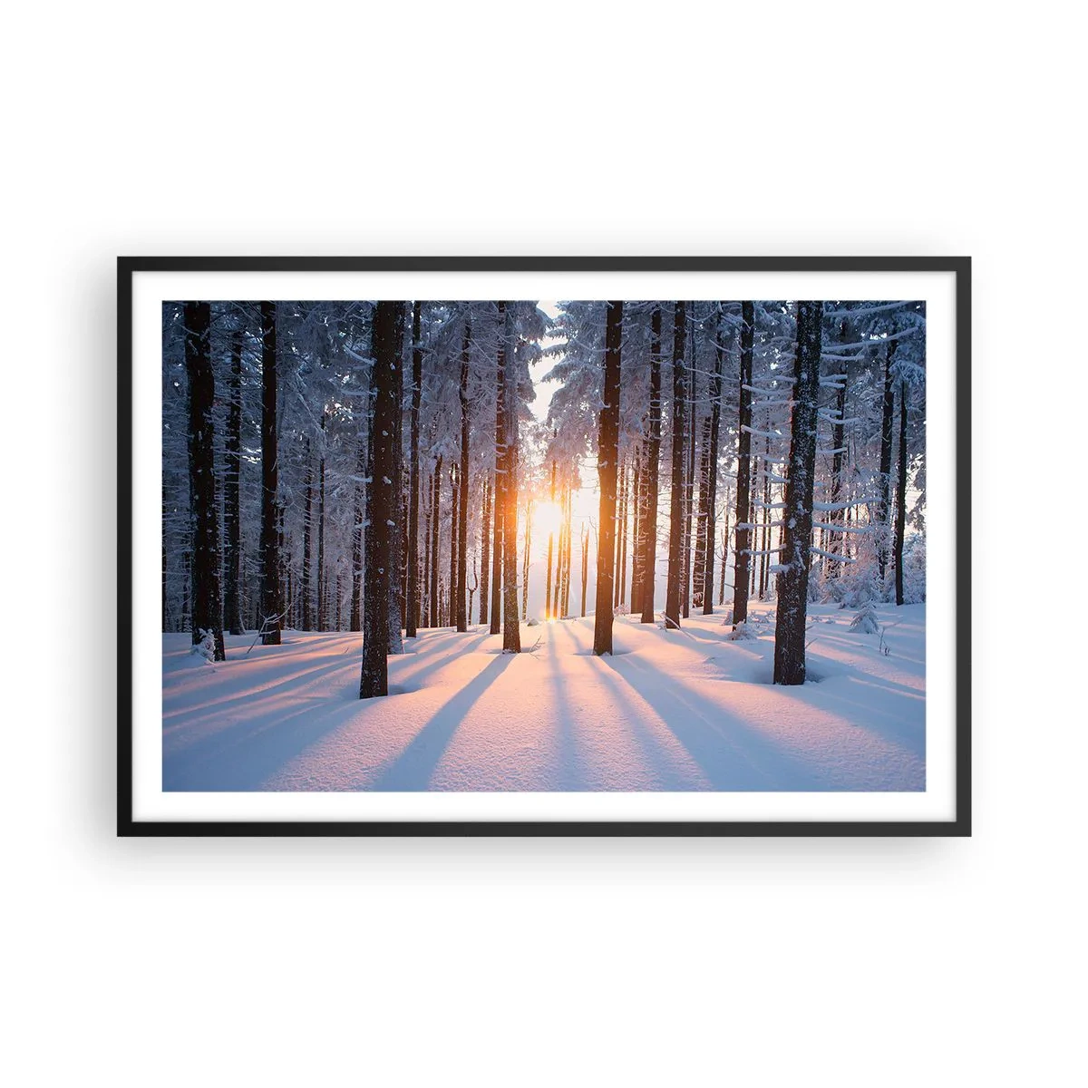 Poster în ramă neagră - În mod clar în alb și negru - 91x61 cm