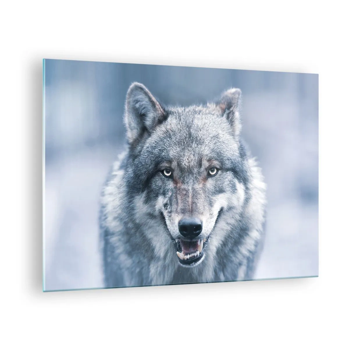 Tablou pe sticlă - Un lup cu o privire pătrunzătoare pe fundalul unei păduri înzăpezite - 70x50cm - Accepți provocarea? - Decorațiune modernă pentru perete pentru living și dormitor ARTTOR
