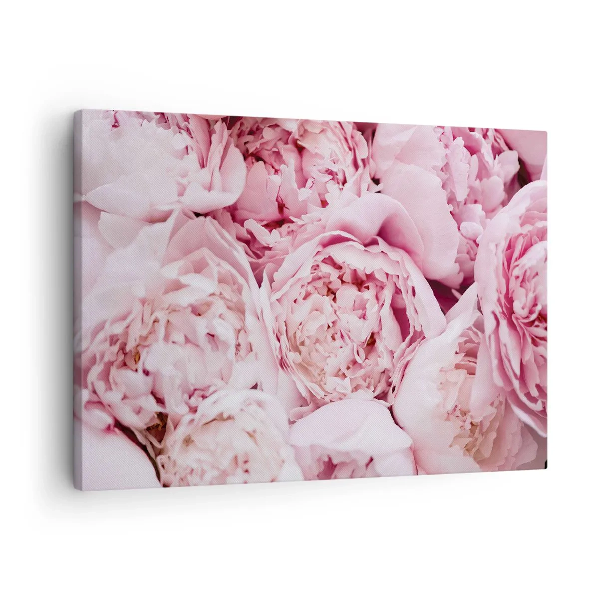 Tablou pe pânză Canvas - Prim-plan al unui buchet de bujori roz - 70x50cm - Îmbrățișate și parfumate - Decorațiune modernă pentru perete pentru living și dormitor ARTTOR