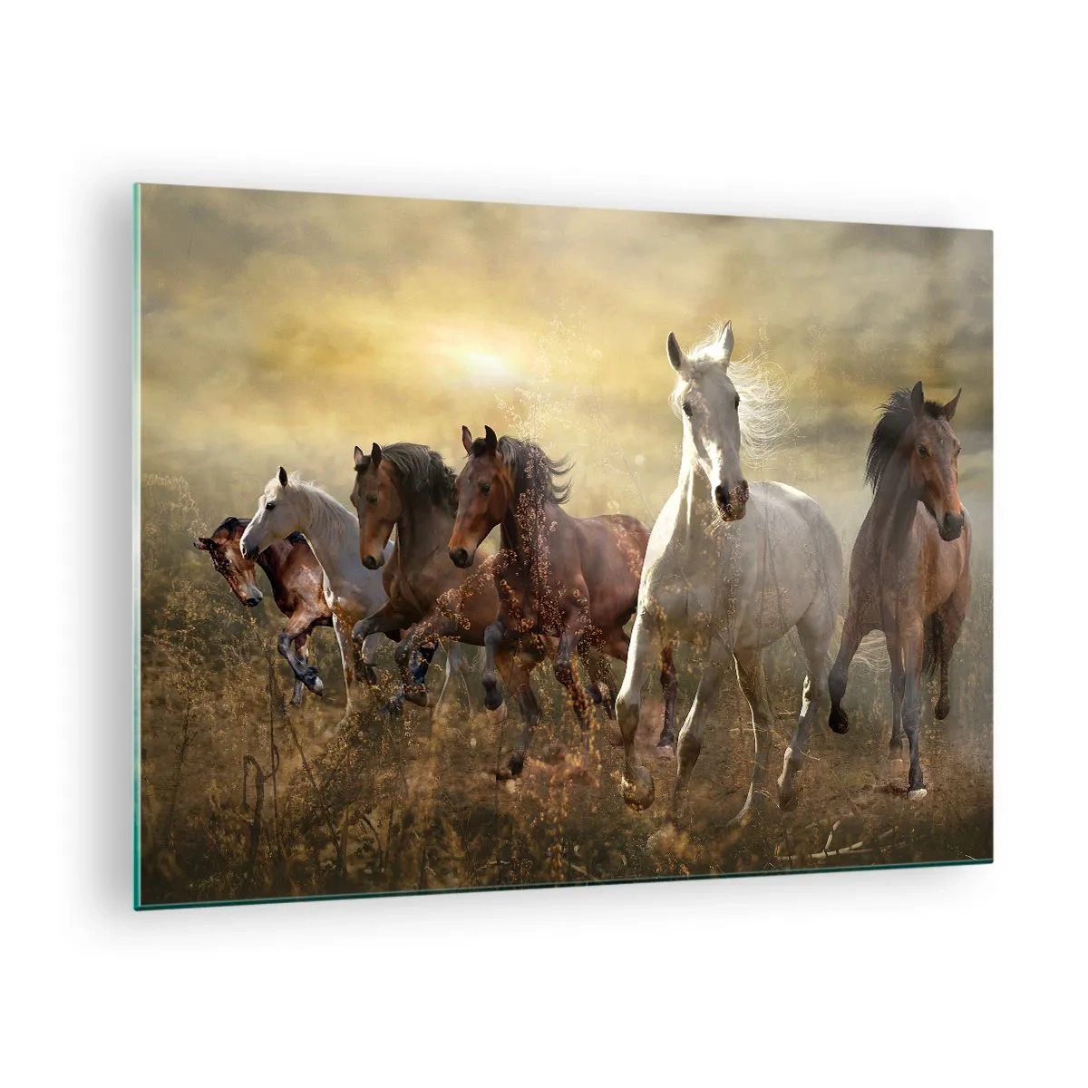 Tablou pe sticlă - O turmă de cai galopând în razele soarelui apus - 70x50cm - Trăiască libertatea! - Decorațiune modernă pentru perete pentru living și dormitor ARTTOR