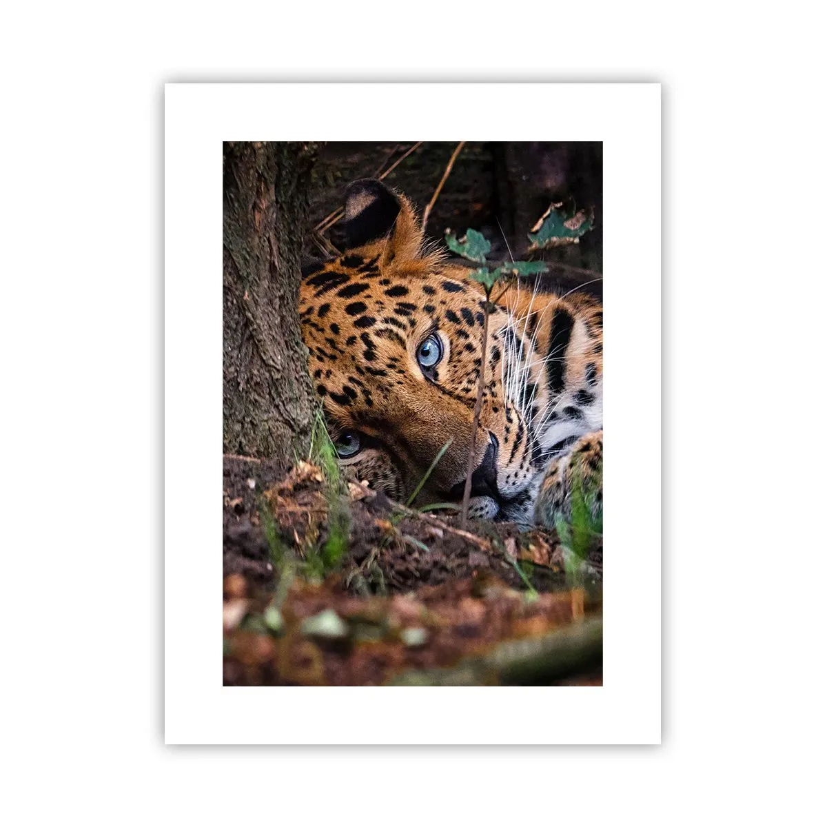 Poster - Să ai încredere în mine - 30x40 cm