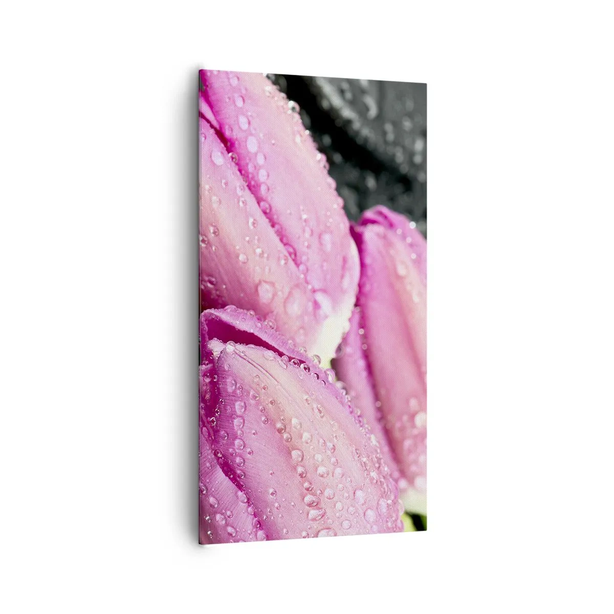 Tablou pe pânză - Pe piatră neagră - 65x120 cm