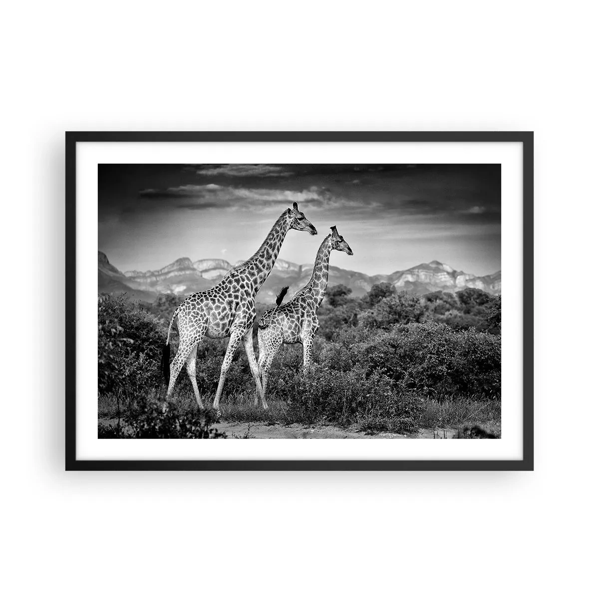 Poster în ramă neagră - Clasele superioare din Africa - 70x50 cm