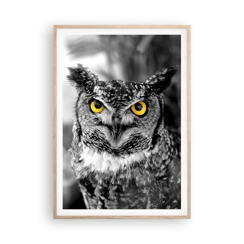 Poster în ramă de stejar deschis - Nimic nu poate fi ascuns - 70x100 cm