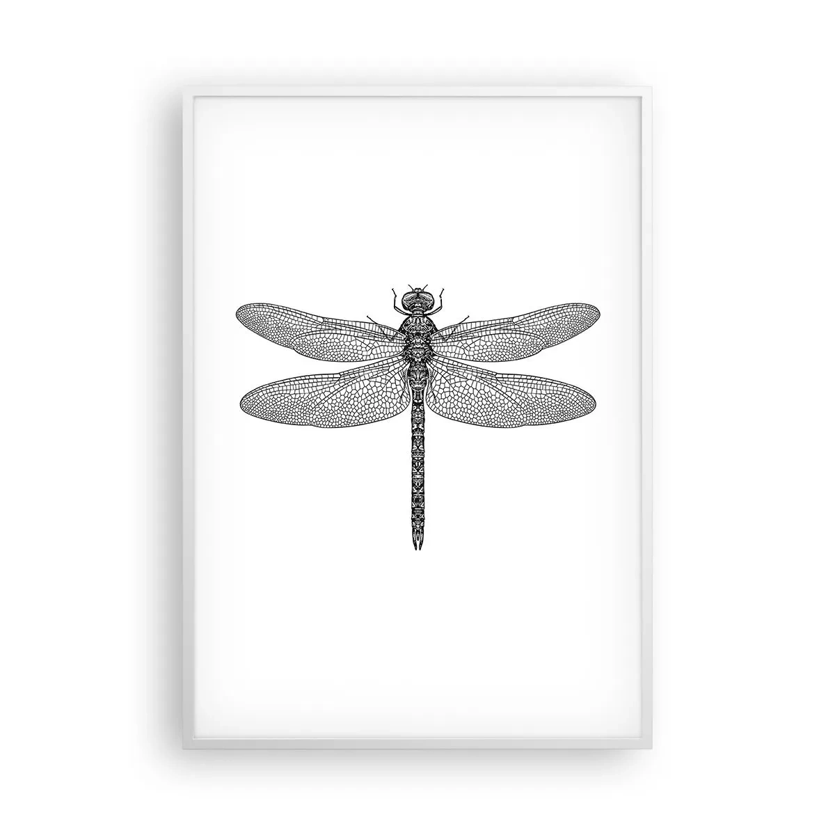 Poster în ramă albă - Precizia naturii - 70x100 cm