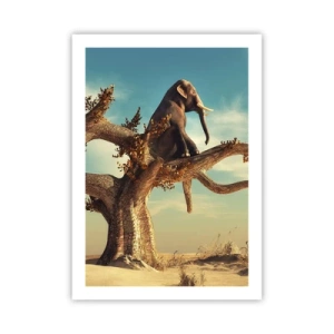 Poster - Un nou punct de vedere - 50x70 cm