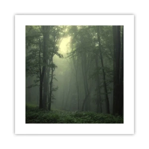 Poster - Înainte să se trezească - 40x40 cm