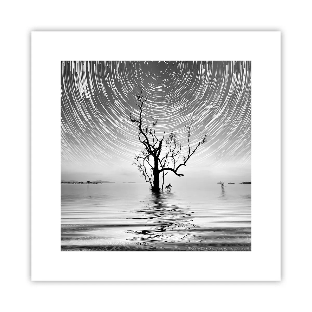 Poster - O simfonie a naturii - 30x30 cm