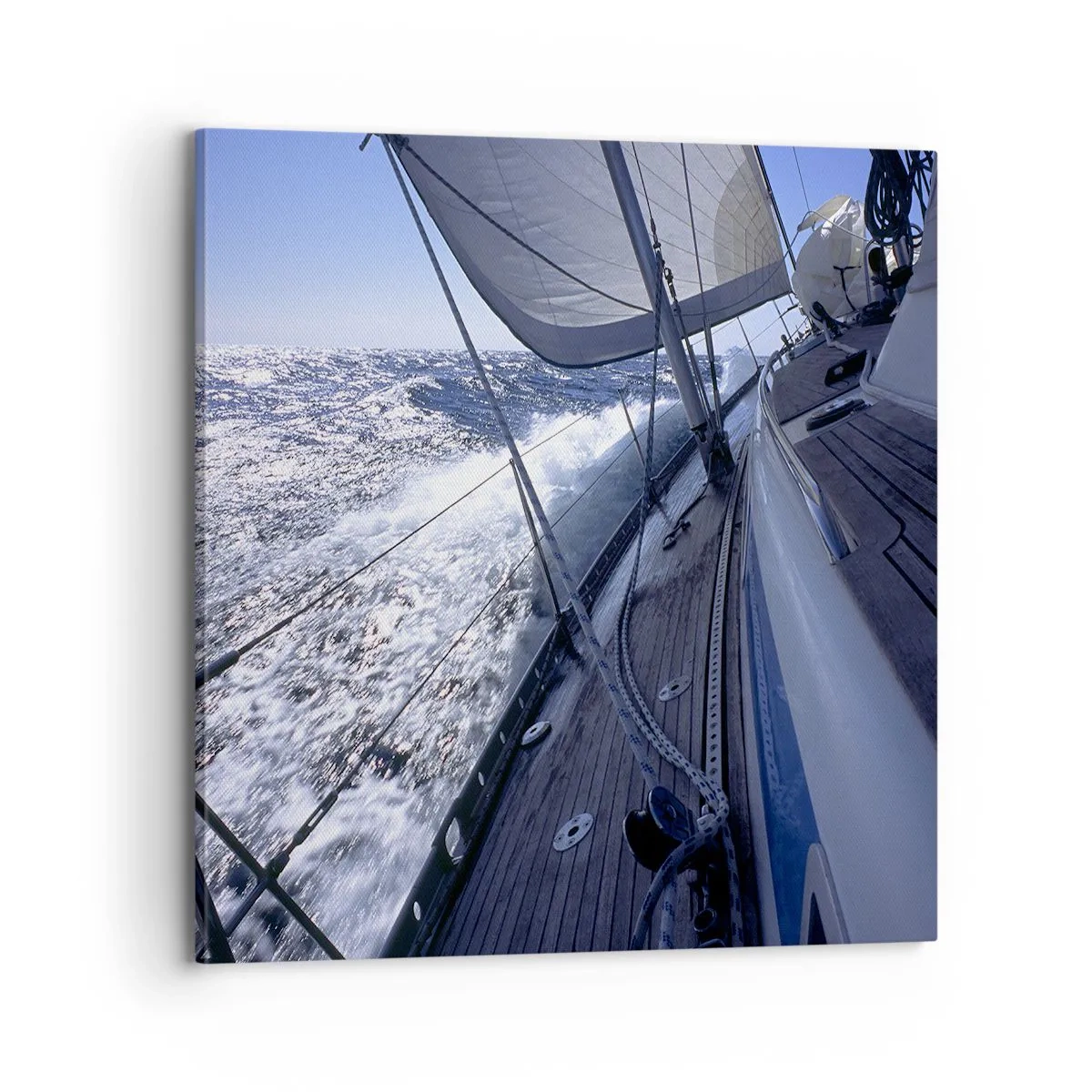 Tablou pe pânză - Știu ce înseamnă să fii o pasăre - 70x70 cm