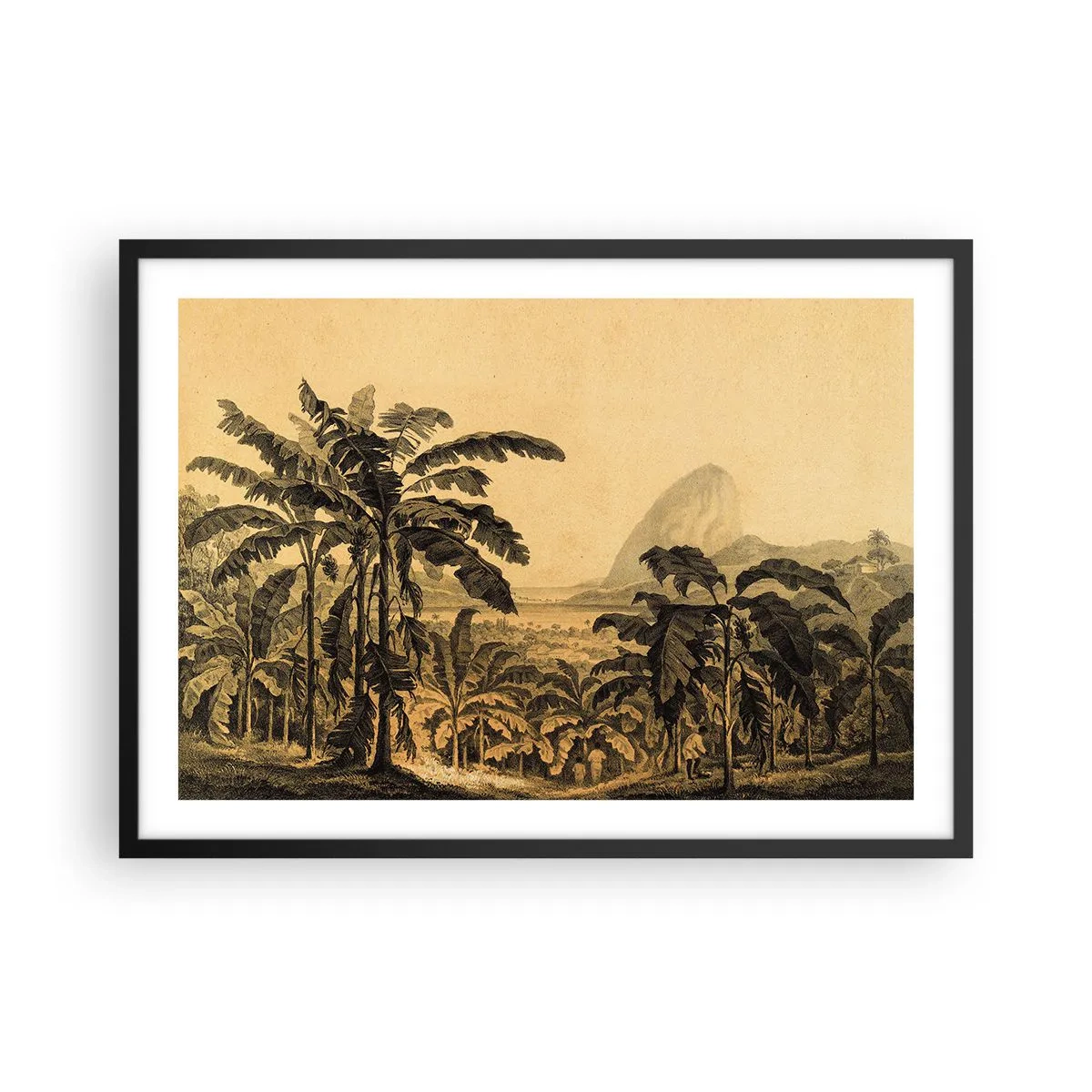 Poster în ramă neagră - În stil colonial - 70x50 cm