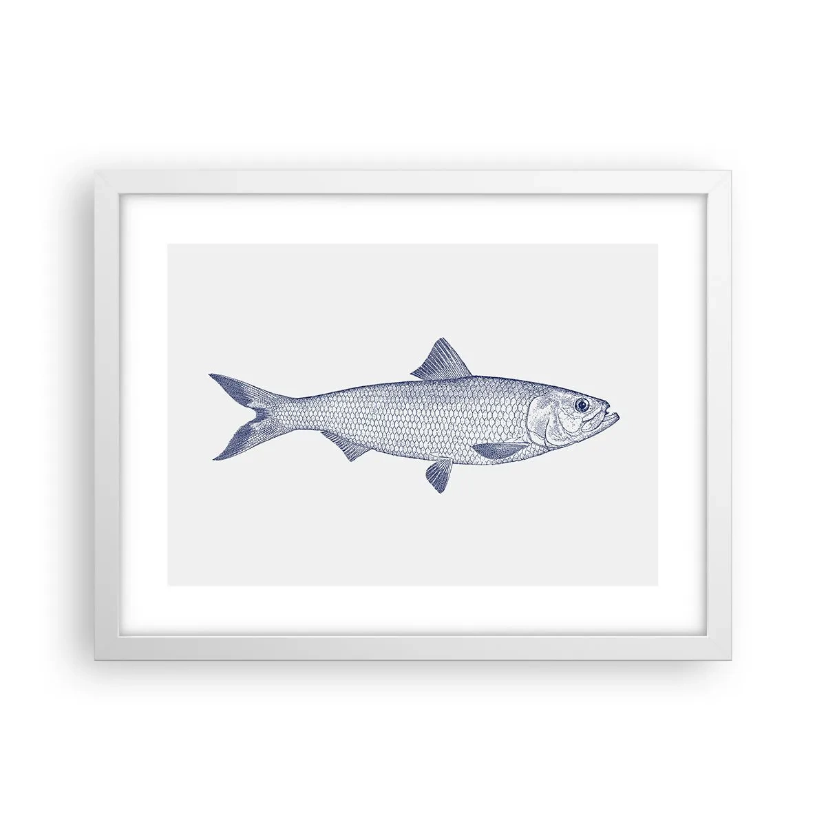 Poster în ramă albă - Salutări din mările nordice - 40x30 cm