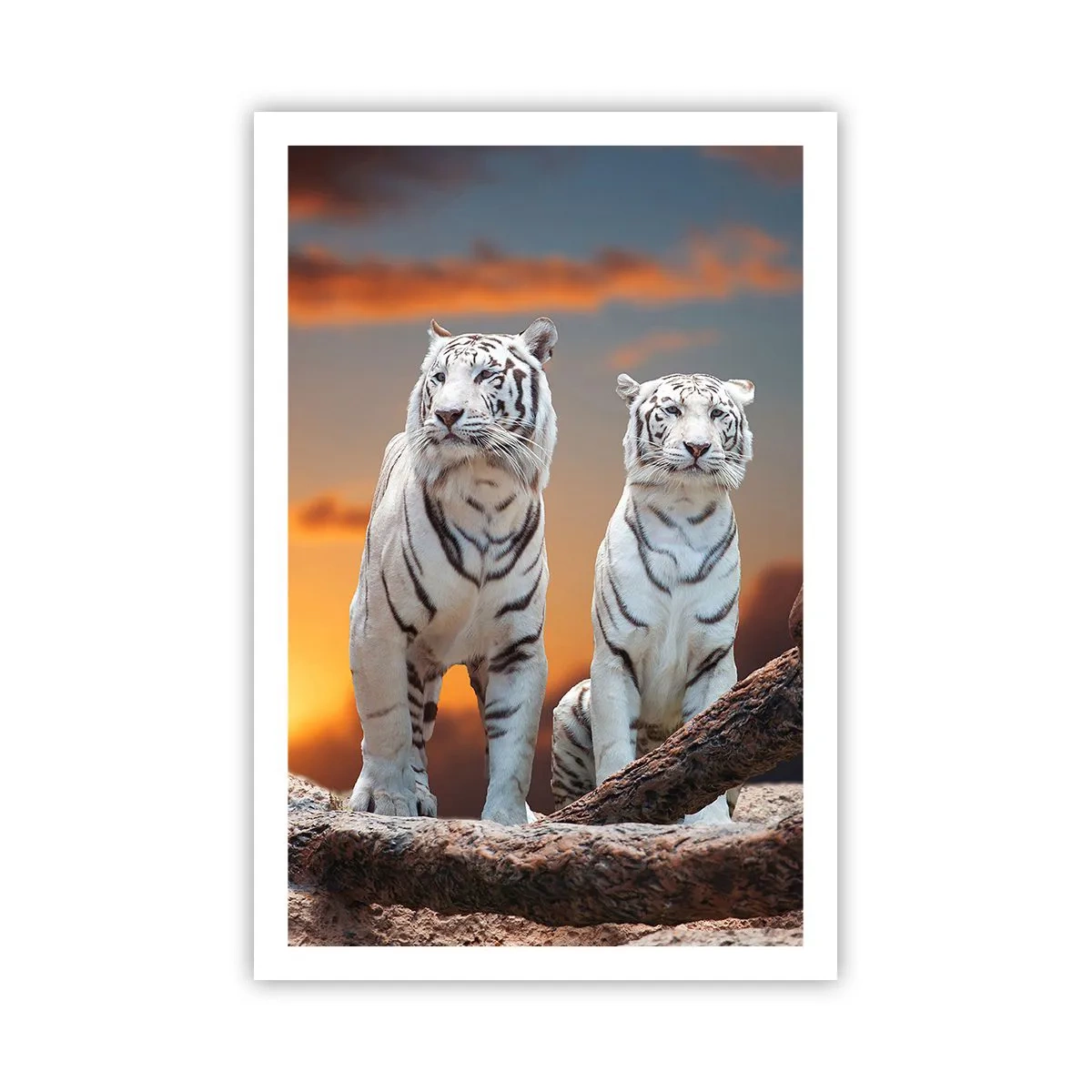 Poster - La fel ca în Narnia - 61x91 cm