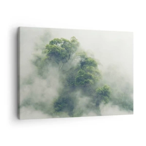 Tablou pe pânză Canvas - Copaci verzi în ceață densă pe un fundal natural - 70x50cm - Înfășurate în ceață - Decorațiune modernă pentru perete pentru living și dormitor ARTTOR