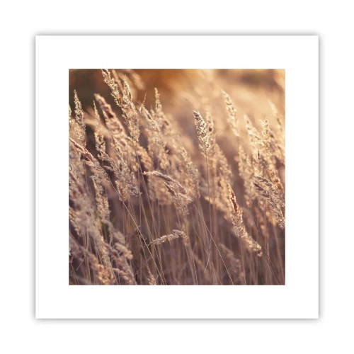 Poster - Gata să întâmpine toamna - 30x30 cm