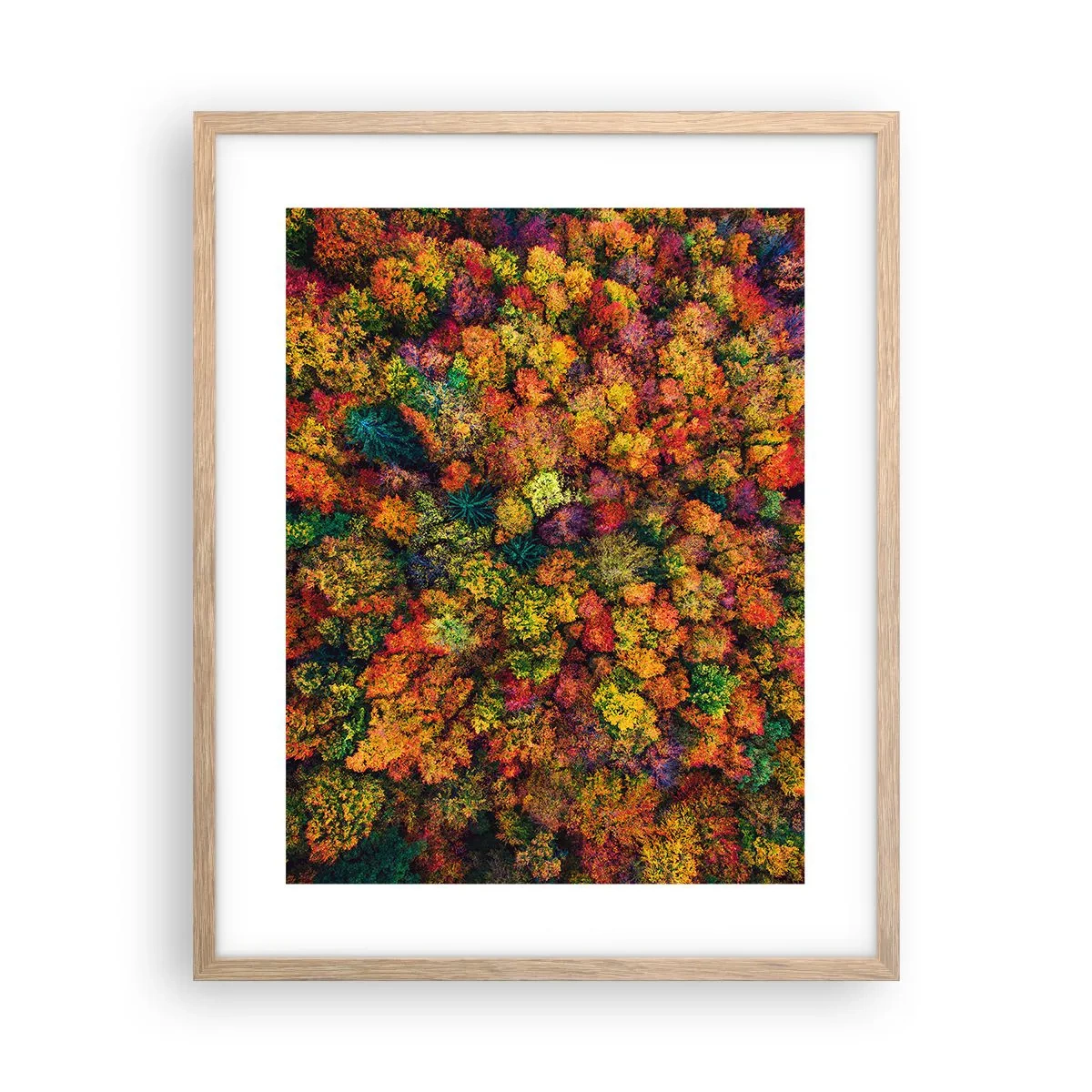 Poster în ramă de stejar deschis - Buchet de copaci de toamnă - 40x50 cm