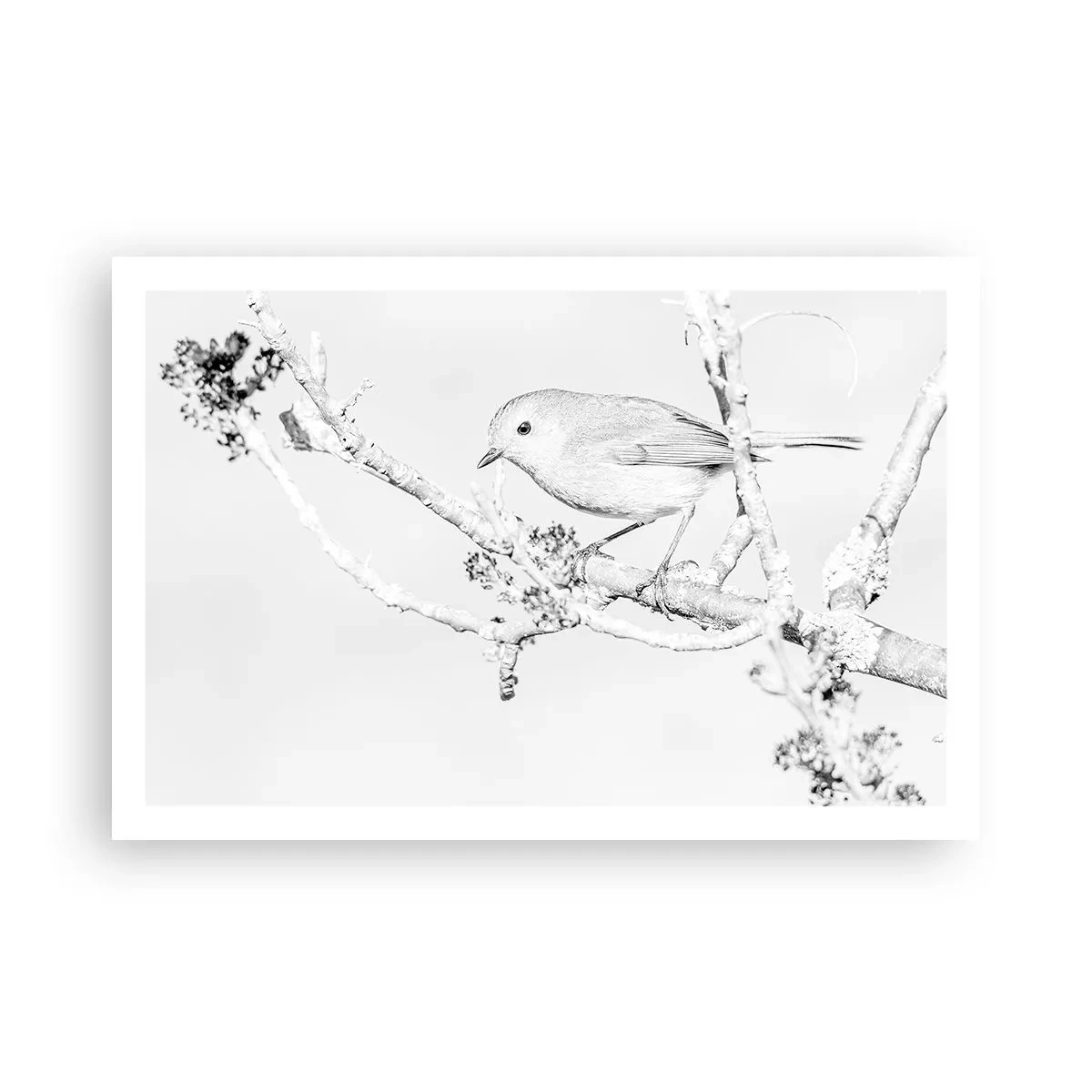 Poster - Dimineață de iarnă - 91x61 cm