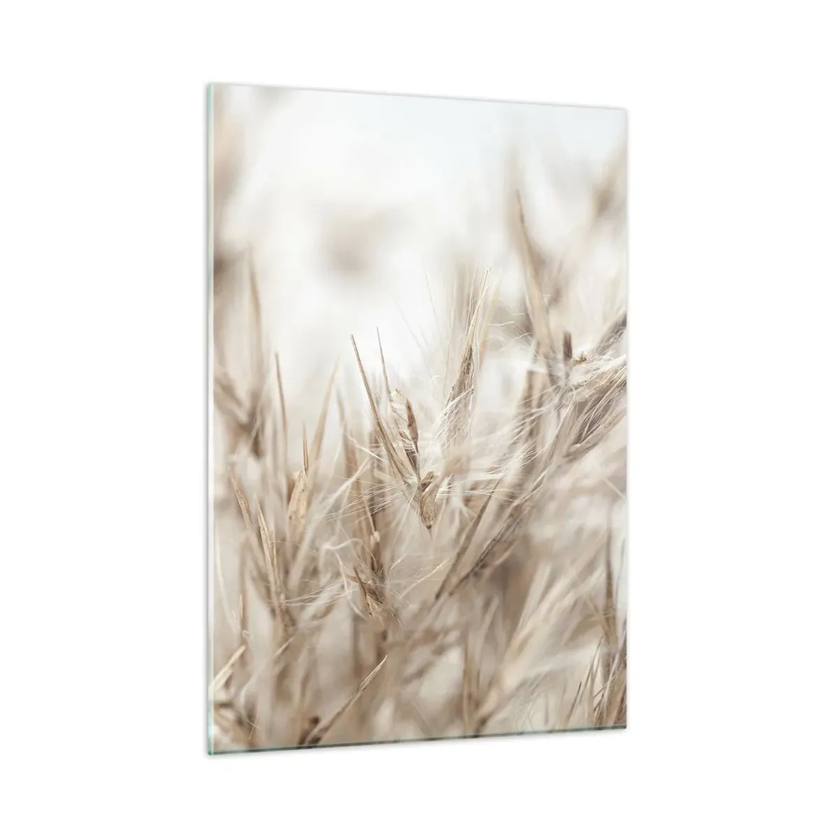 Tablou pe sticlă - Pajiște și vânt - 50x70 cm