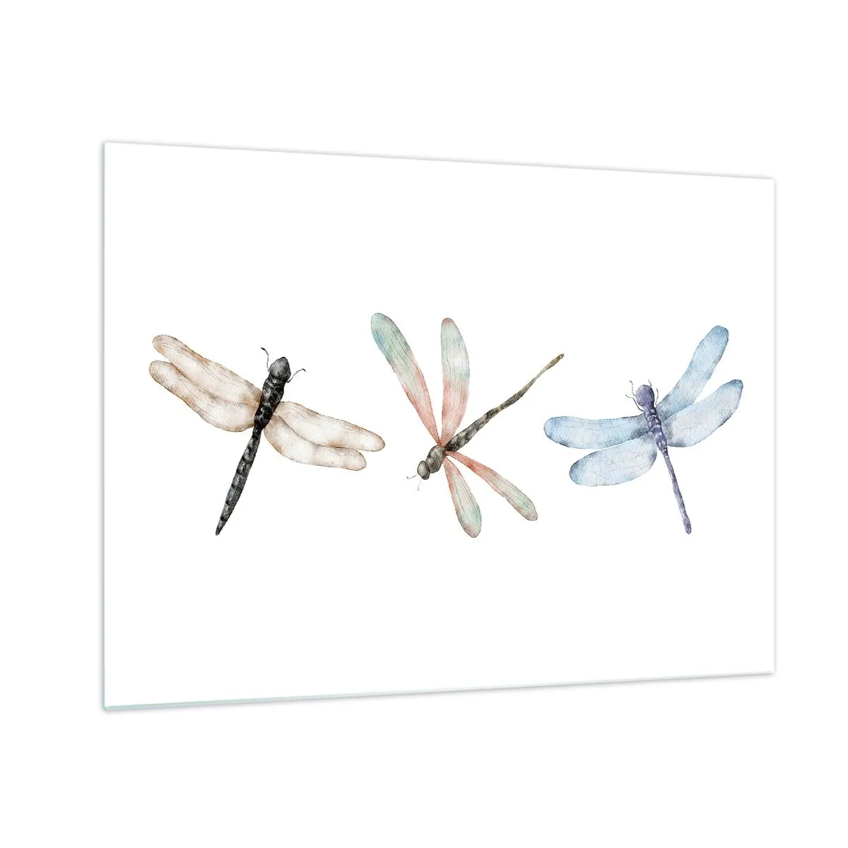 Tablou pe sticlă - Trei libelule colorate pe fundal alb, într-un stil delicat de acuarelă - 70x50cm - Libelule imponderabile - Decorațiune modernă pentru perete pentru living și dormitor ARTTOR