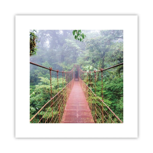 Poster - Suspendat deasupra coroanelor arborilor - 30x30 cm